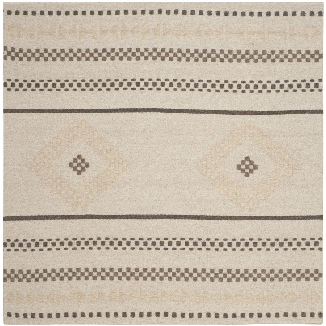 SAFAVIEH Dhurries DHU351A Handwoven Natural Rug Image 1