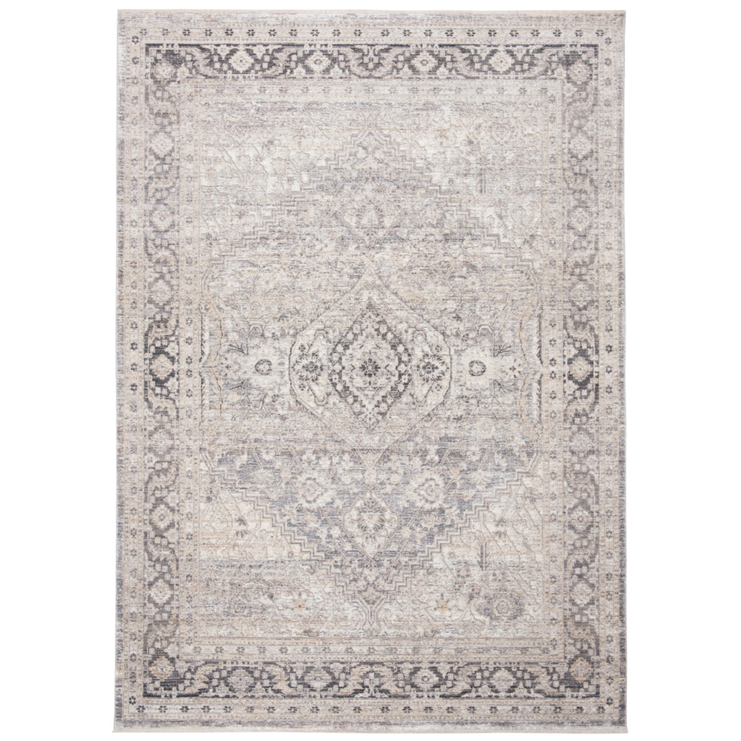 SAFAVIEH Dream Collection DRM411F Grey / Ivory Rug Image 10
