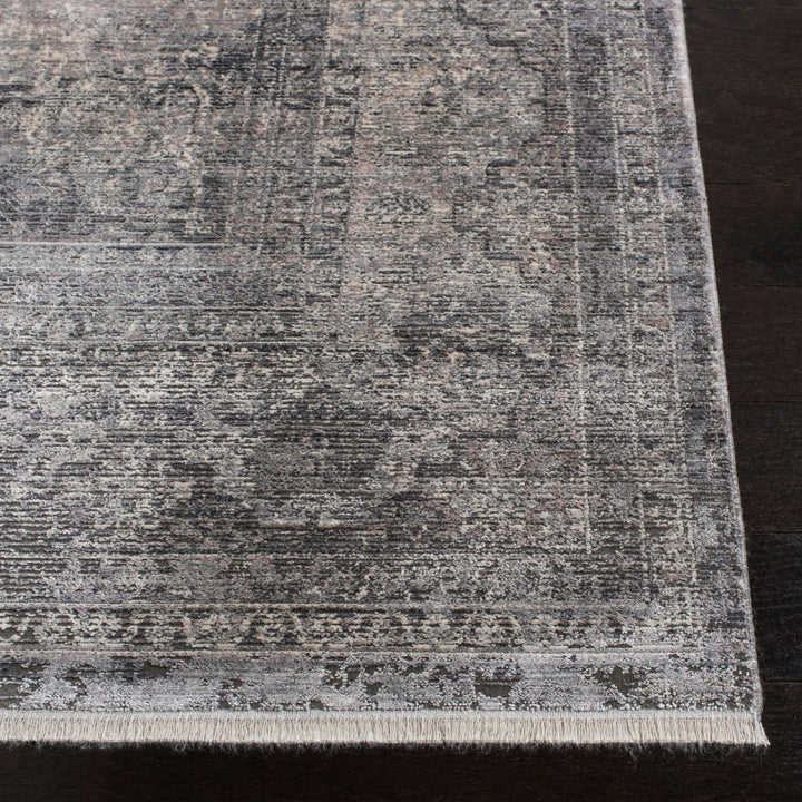 SAFAVIEH Eclipse Collection ECL134A Ivory / Charcoal Rug Image 4