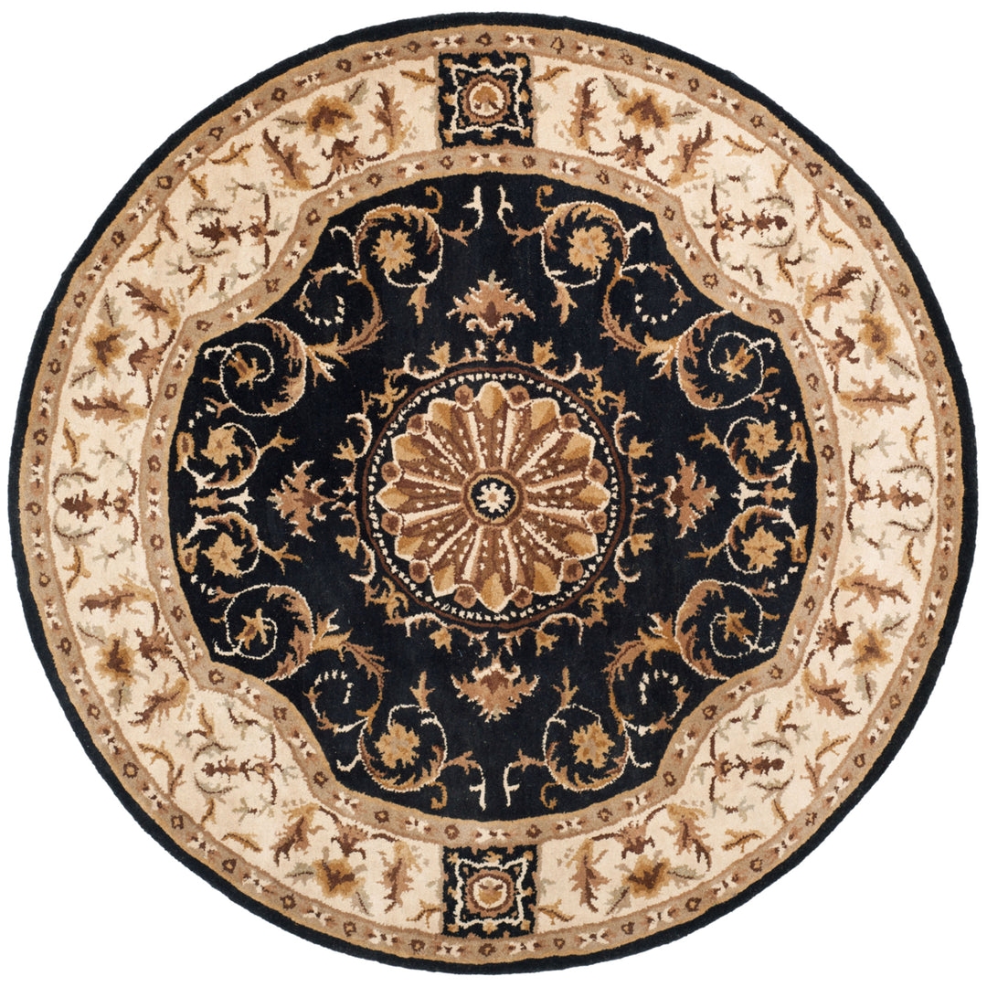 SAFAVIEH Empire EM459D Handmade Black / Ivory Rug Image 4