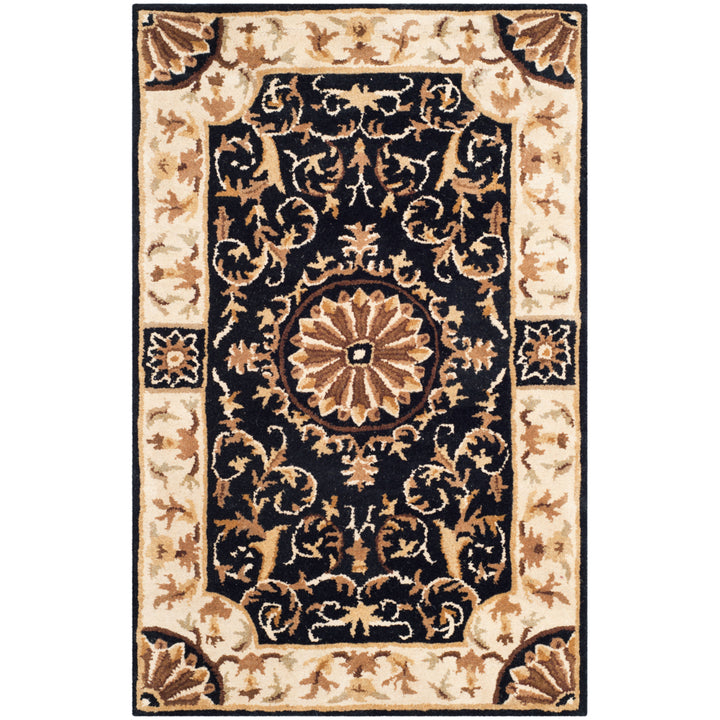 SAFAVIEH Empire EM459D Handmade Black / Ivory Rug Image 8