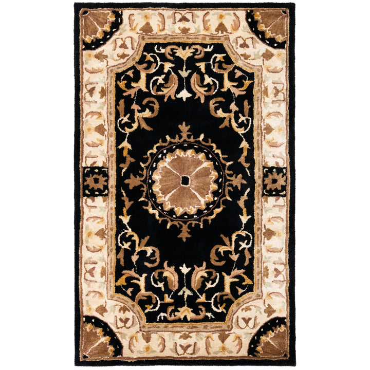 SAFAVIEH Empire EM459D Handmade Black / Ivory Rug Image 9