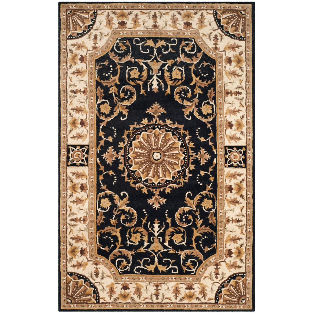 SAFAVIEH Empire EM459D Handmade Black / Ivory Rug Image 10