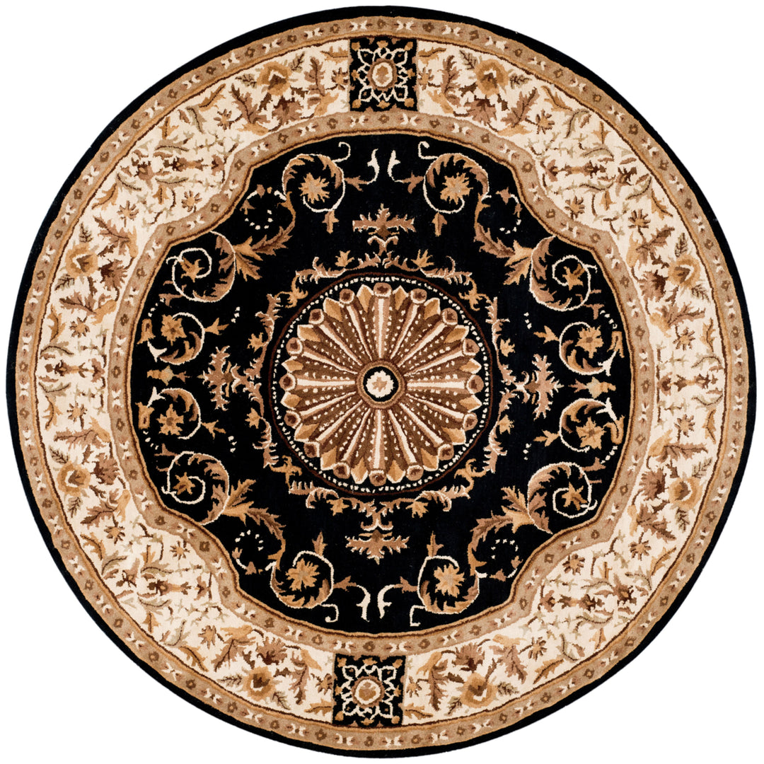 SAFAVIEH Empire EM459D Handmade Black / Ivory Rug Image 11