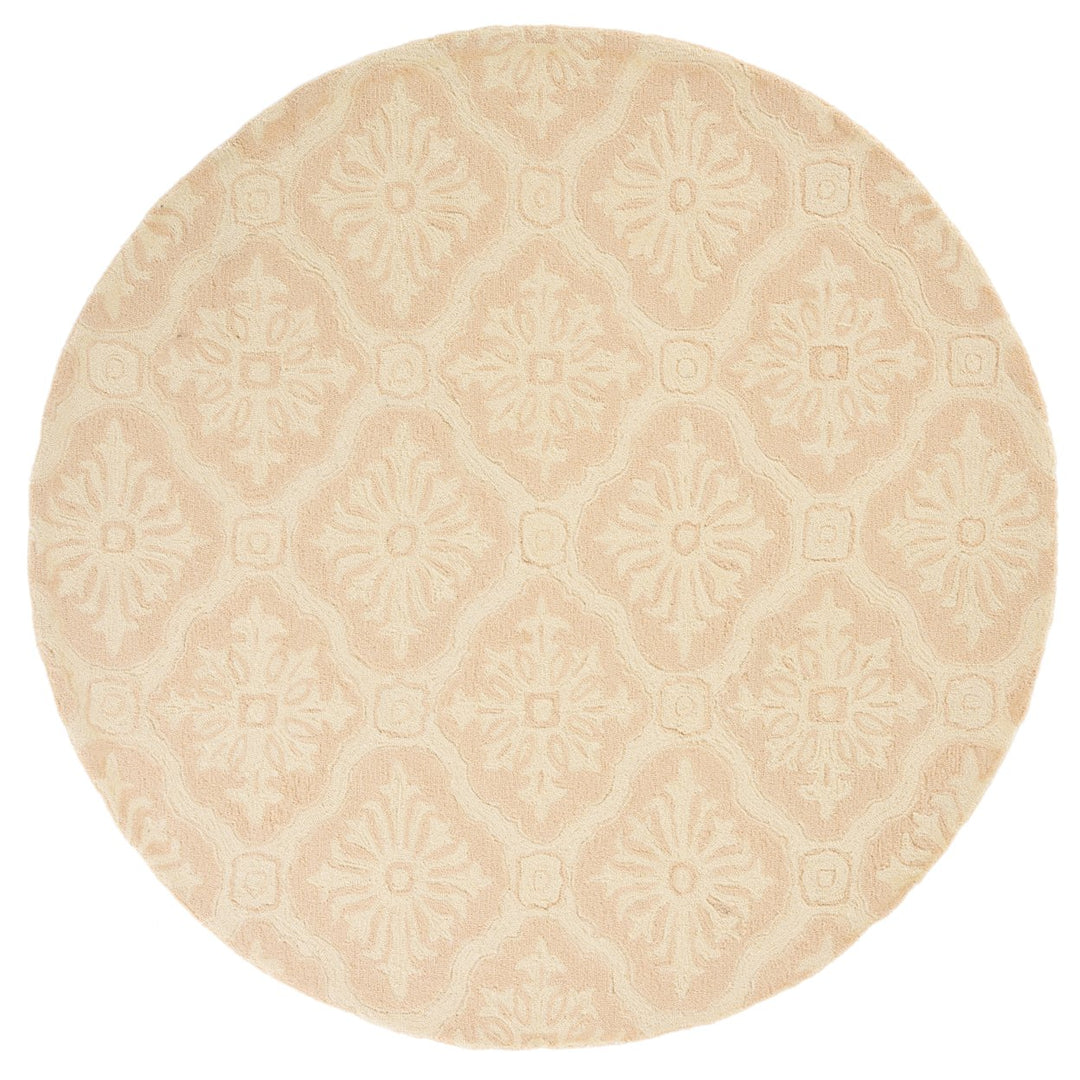 SAFAVIEH Easy Care EZC122B Hand-hooked Creme Rug Image 1