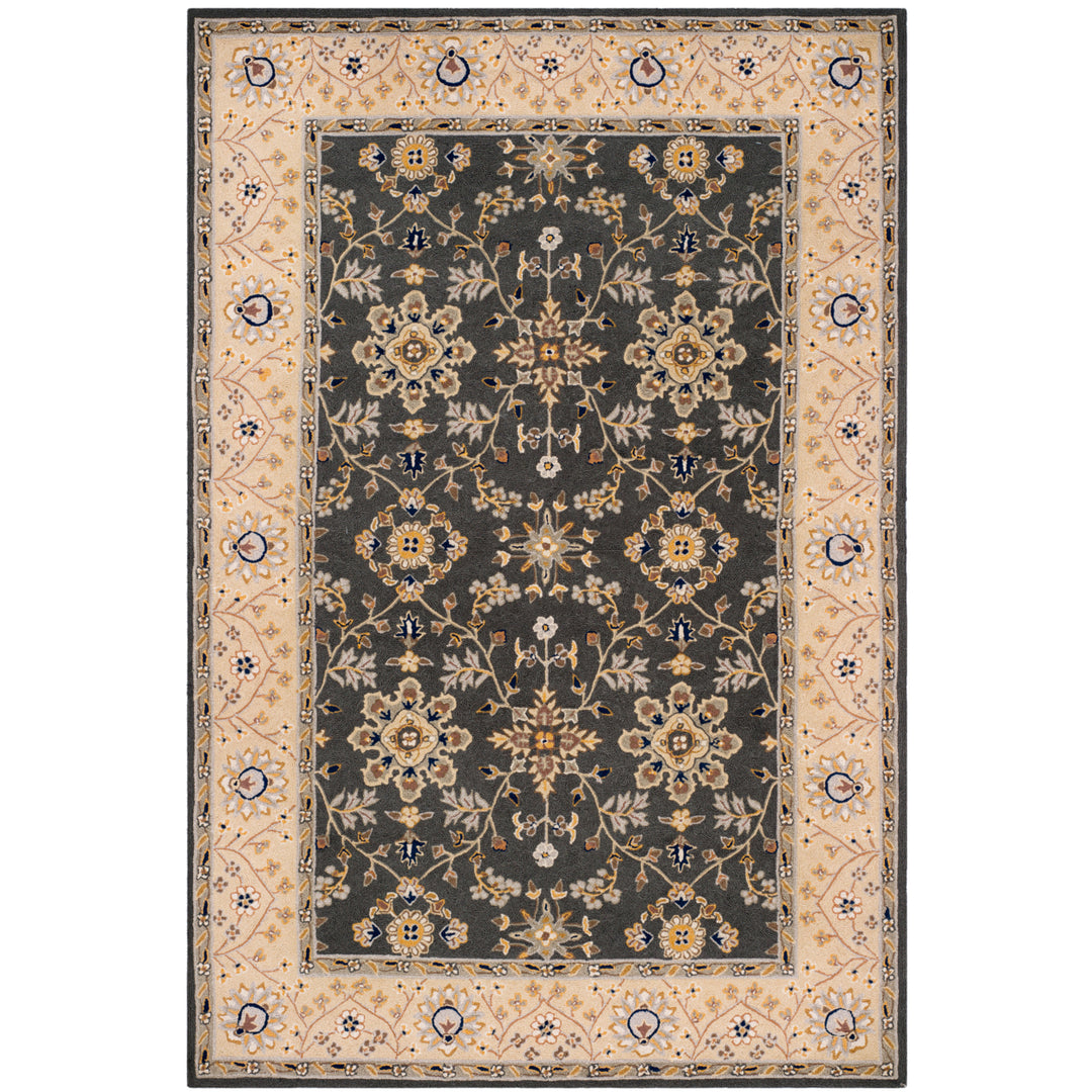 SAFAVIEH Easy Care EZC751H Grey / Cream Rug Image 1