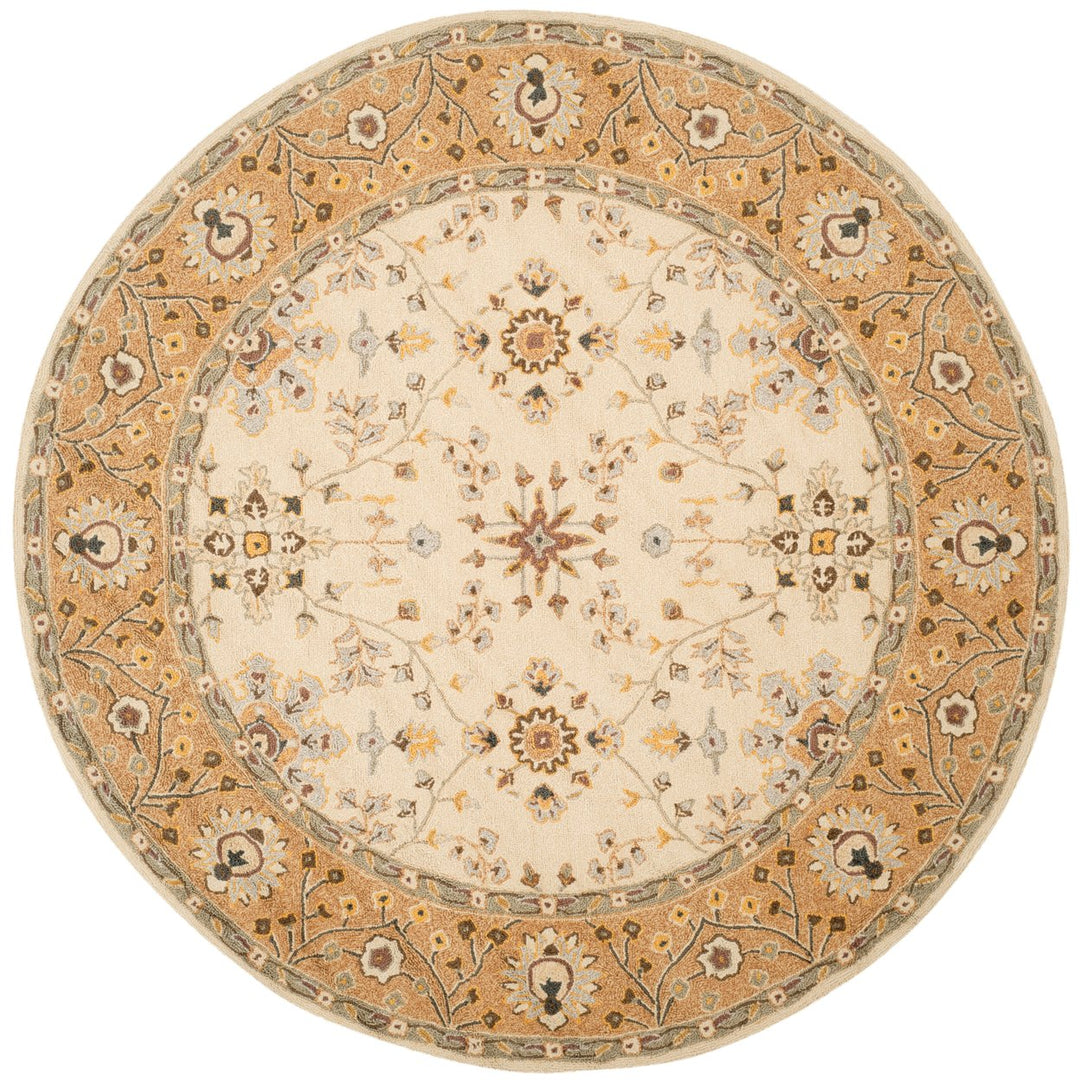 SAFAVIEH Easy Care EZC751D Ivory / Beige Rug Image 1