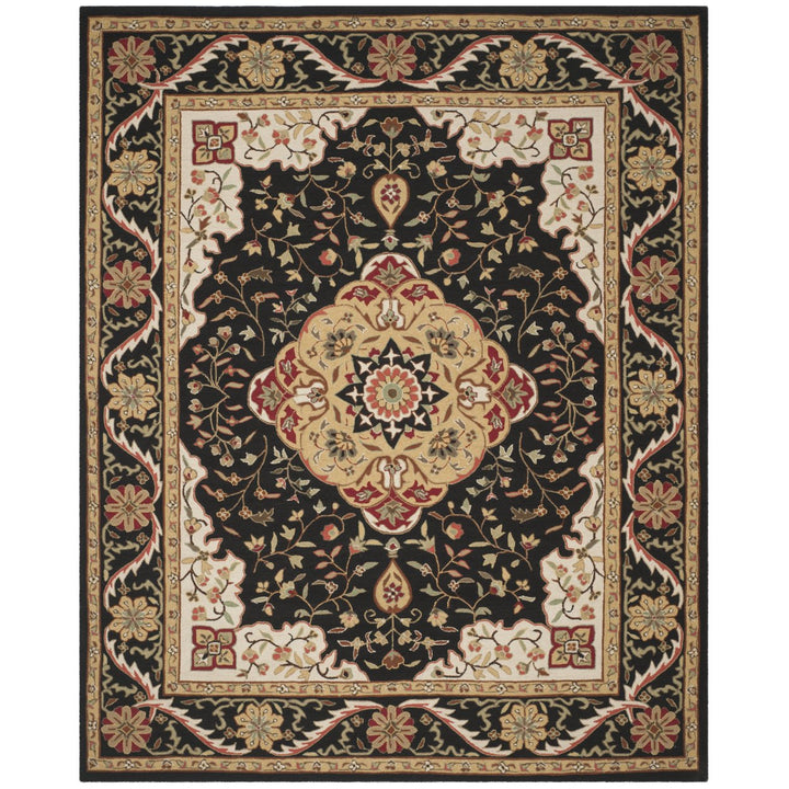 SAFAVIEH Easy Care EZC757E Black / Creme Rug Image 1