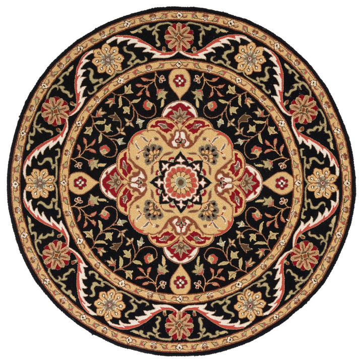 SAFAVIEH Easy Care EZC757E Black / Creme Rug Image 4