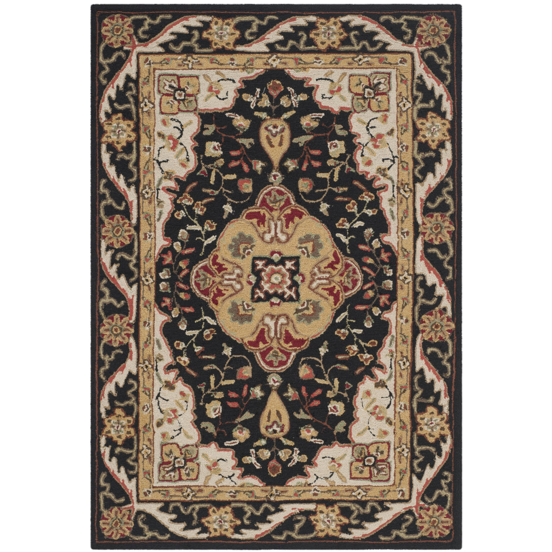 SAFAVIEH Easy Care EZC757E Black / Creme Rug Image 10