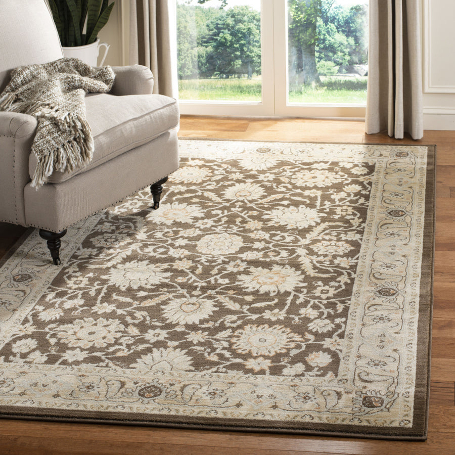 SAFAVIEH Florenteen FLR125-2512 Brown / Ivory Rug Image 1