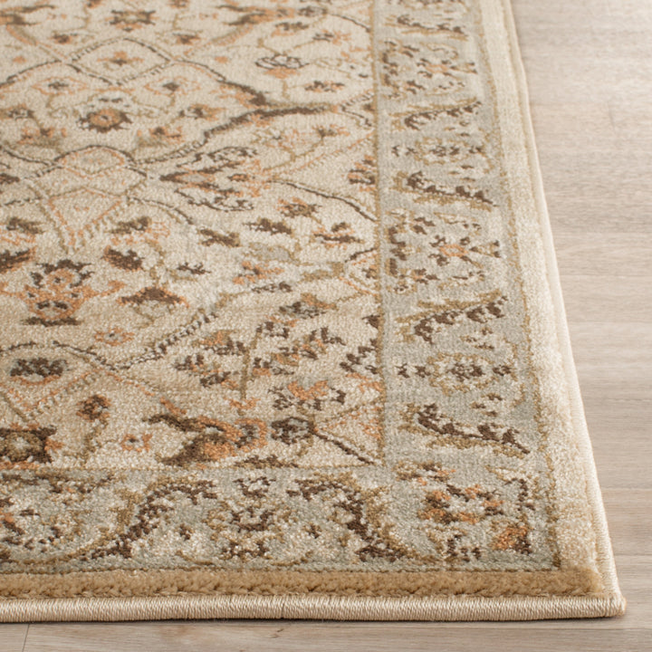 SAFAVIEH Florenteen FLR126-1280 Ivory / Grey Rug Image 2