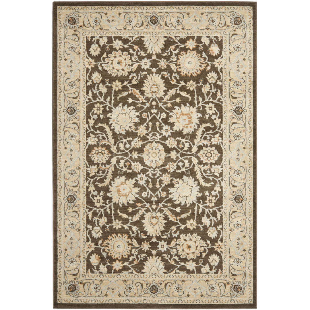 SAFAVIEH Florenteen FLR125-2512 Brown / Ivory Rug Image 6