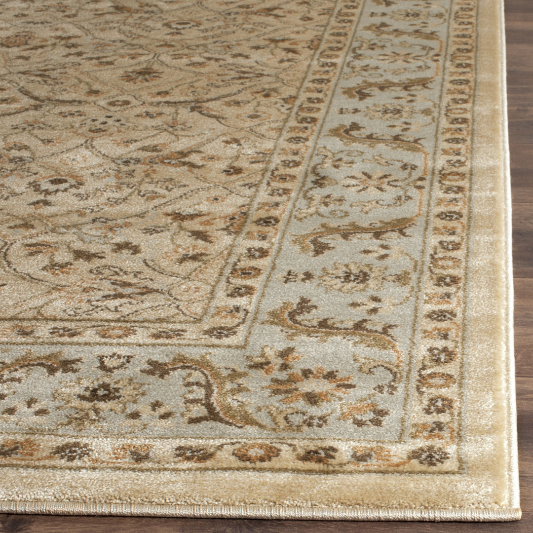 SAFAVIEH Florenteen FLR126-2512 Brown / Ivory Rug Image 1