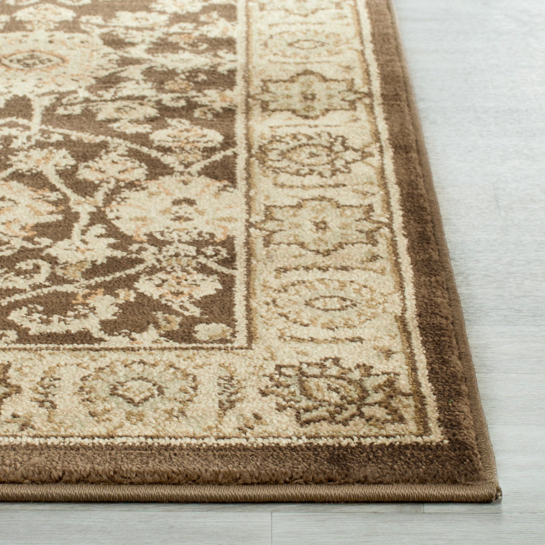 SAFAVIEH Florenteen FLR127-2512 Brown / Ivory Rug Image 4