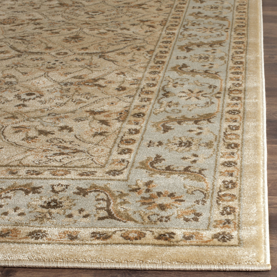 SAFAVIEH Florenteen FLR126-8012 Grey / Ivory Rug Image 1