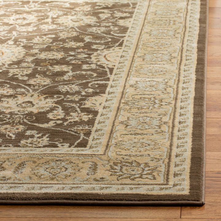 SAFAVIEH Florenteen FLR127-3412 Rust / Ivory Rug Image 5