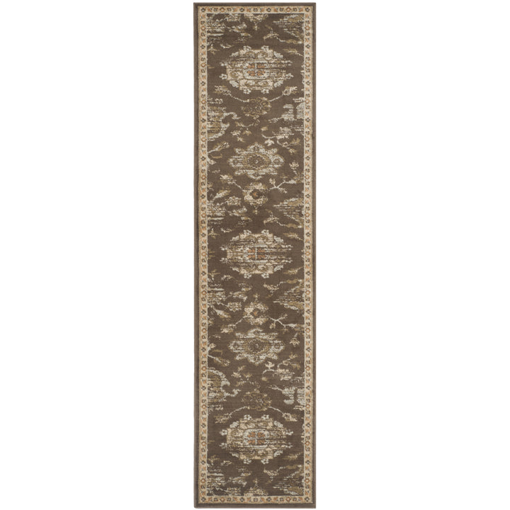 SAFAVIEH Florenteen FLR128-2512 Brown / Ivory Rug Image 3