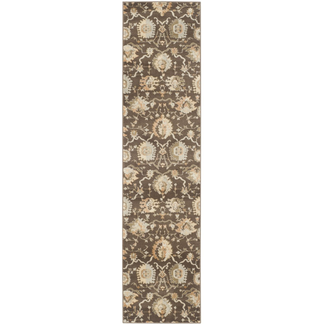 SAFAVIEH Florenteen FLR129-2512 Brown / Ivory Rug Image 2