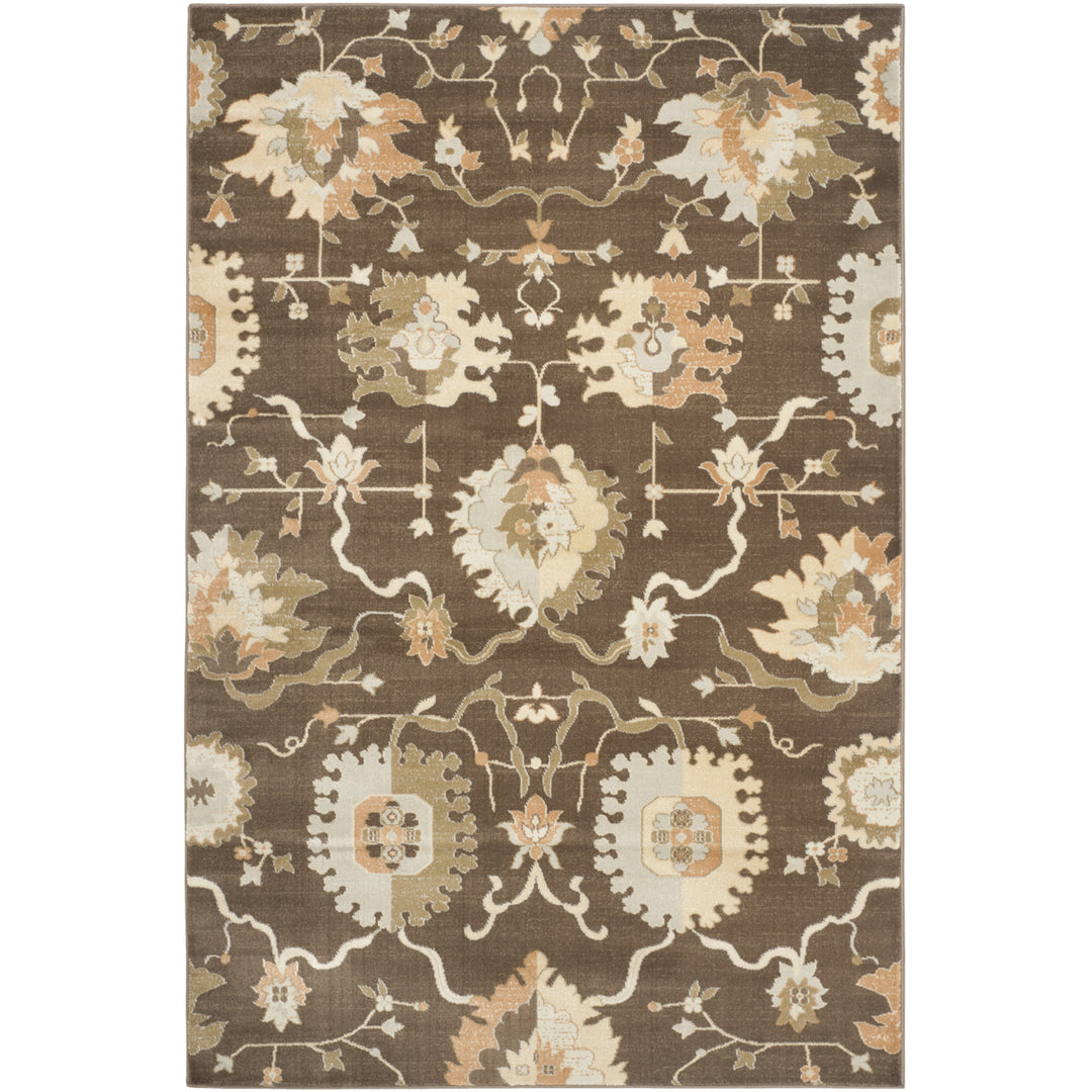 SAFAVIEH Florenteen FLR129-2512 Brown / Ivory Rug Image 6