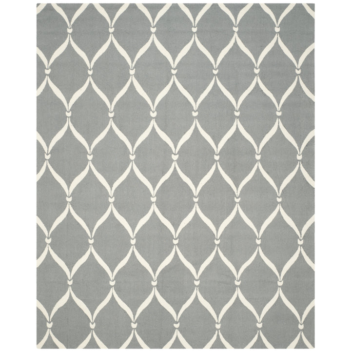 SAFAVIEH Four Seasons FRS242B Grey / Ivory Rug Image 1