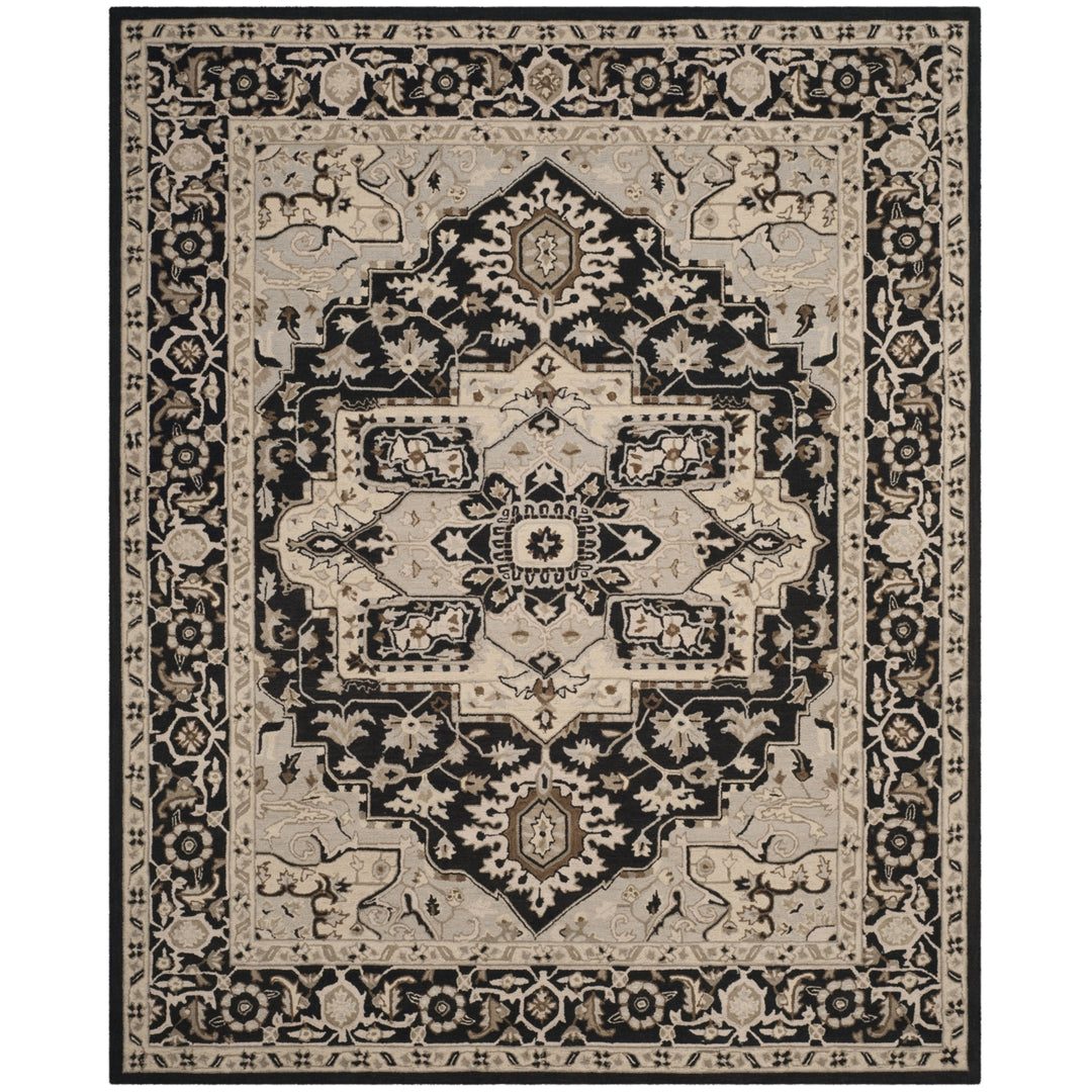 SAFAVIEH Chelsea HK709F Hand-hooked Black / Natural Rug Image 1