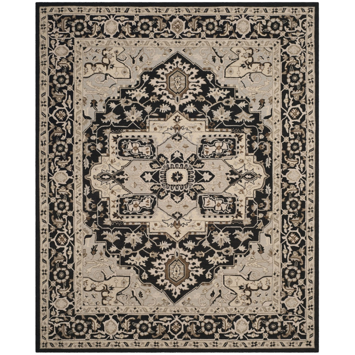 SAFAVIEH Chelsea HK709F Hand-hooked Black / Natural Rug Image 1