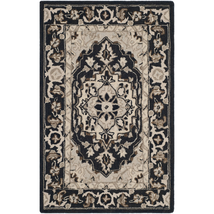 SAFAVIEH Chelsea HK709F Hand-hooked Black / Natural Rug Image 4