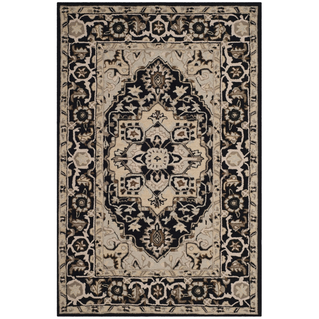 SAFAVIEH Chelsea HK709F Hand-hooked Black / Natural Rug Image 6