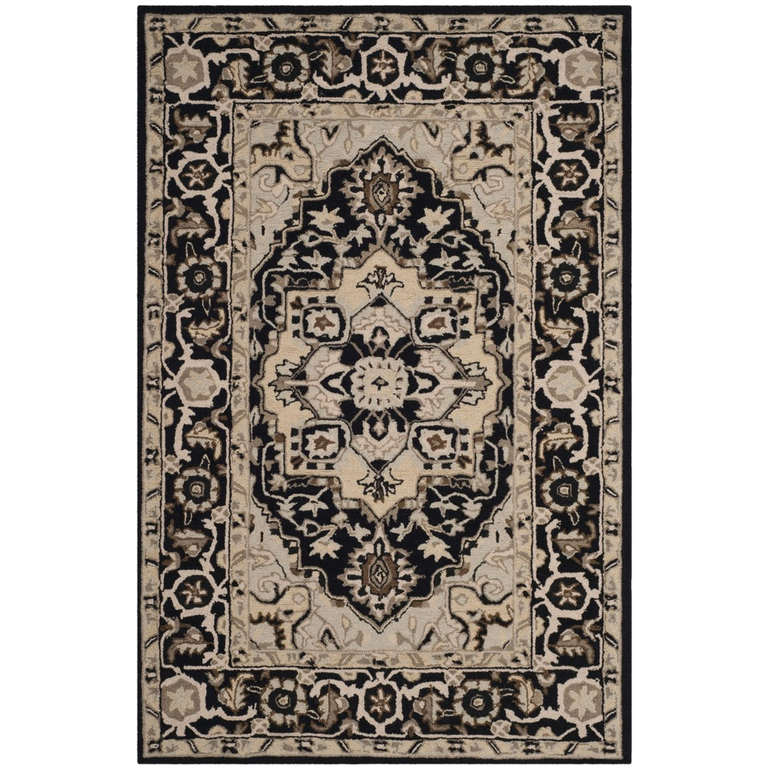 SAFAVIEH Chelsea HK709F Hand-hooked Black / Natural Rug Image 1