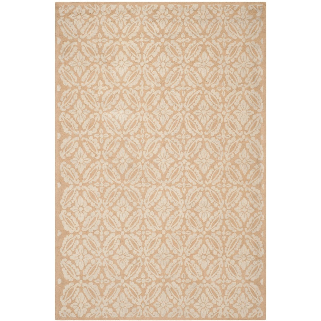 SAFAVIEH Chelsea Collection HK723C Hand-hooked Blush Rug Image 1