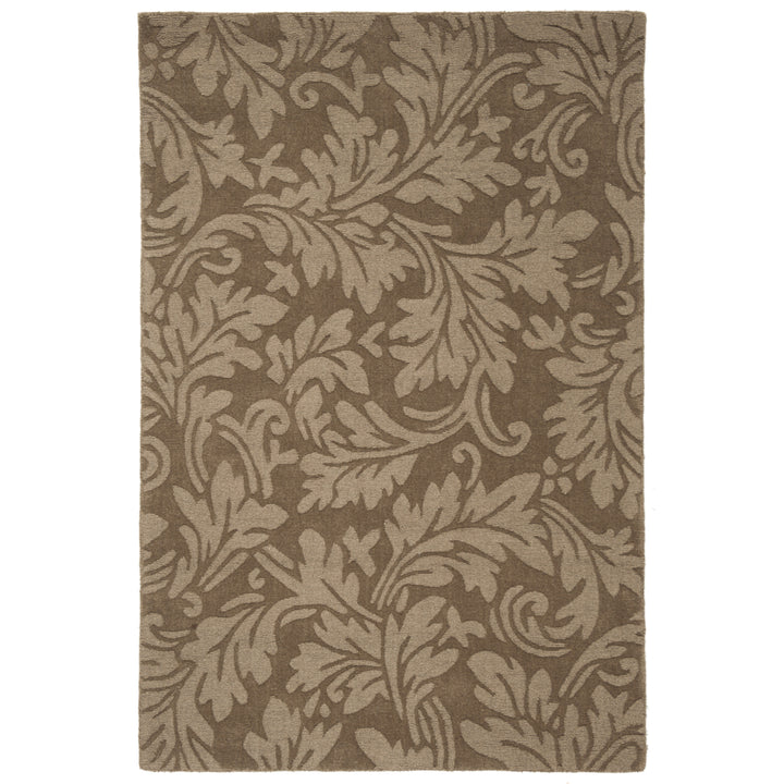 SAFAVIEH Impressions IM344A Handmade Brown Rug Image 10