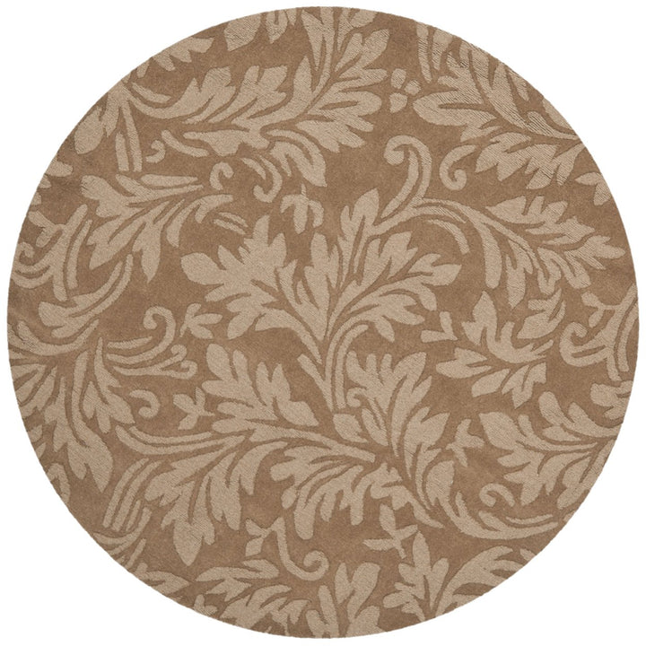 SAFAVIEH Impressions IM344D Handmade Light Brown Rug Image 4