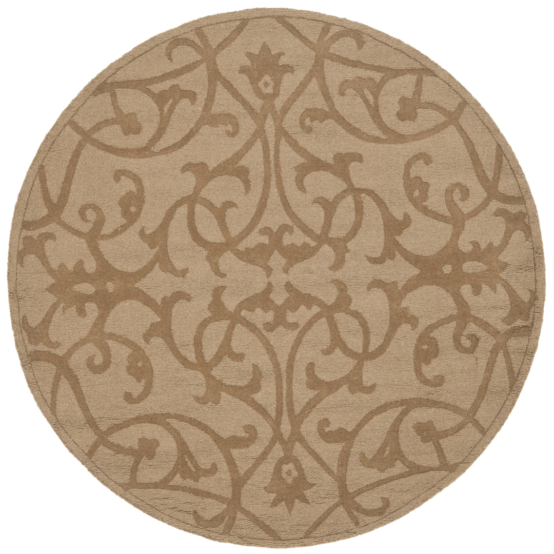 SAFAVIEH Impressions IM341D Handmade Light Brown Rug Image 4