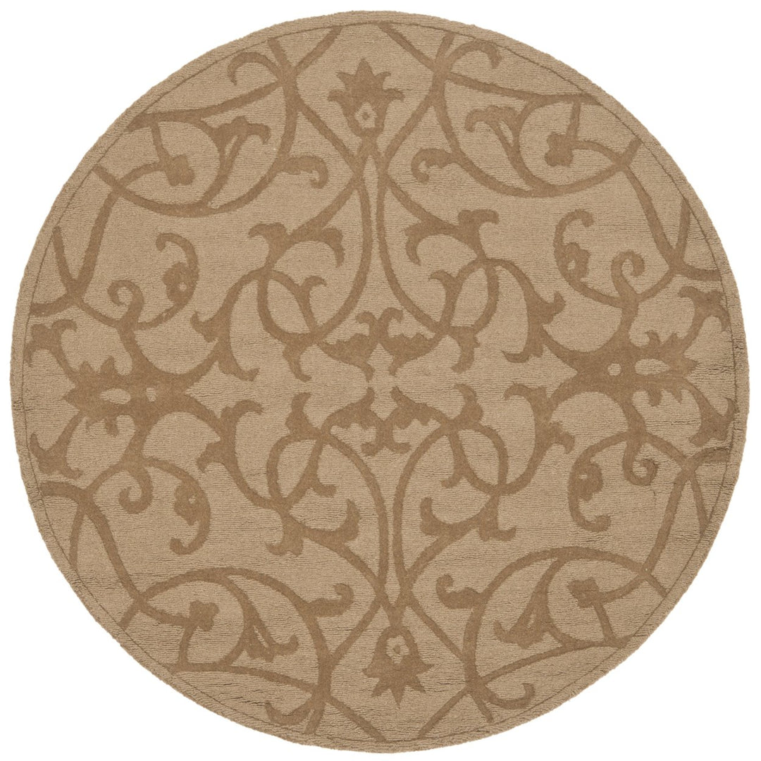 SAFAVIEH Impressions IM341D Handmade Light Brown Rug Image 1