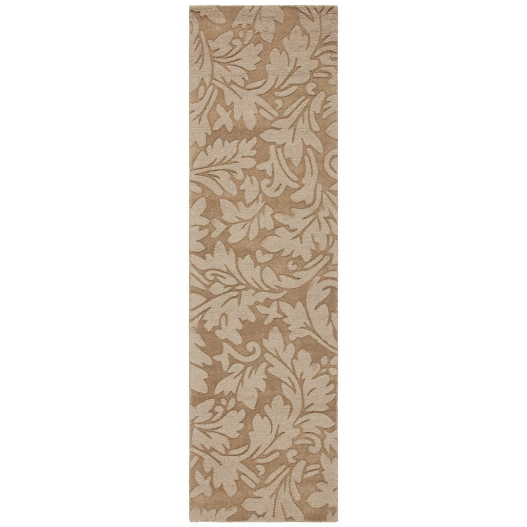 SAFAVIEH Impressions IM344D Handmade Light Brown Rug Image 5