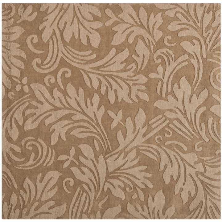 SAFAVIEH Impressions IM344D Handmade Light Brown Rug Image 6