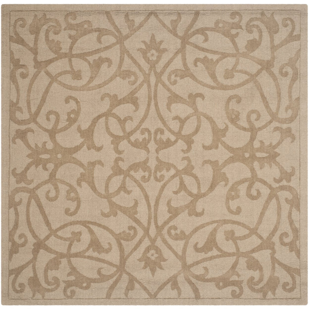 SAFAVIEH Impressions IM341D Handmade Light Brown Rug Image 6