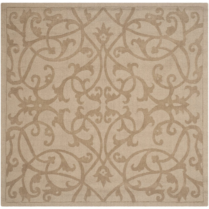 SAFAVIEH Impressions IM341D Handmade Light Brown Rug Image 6