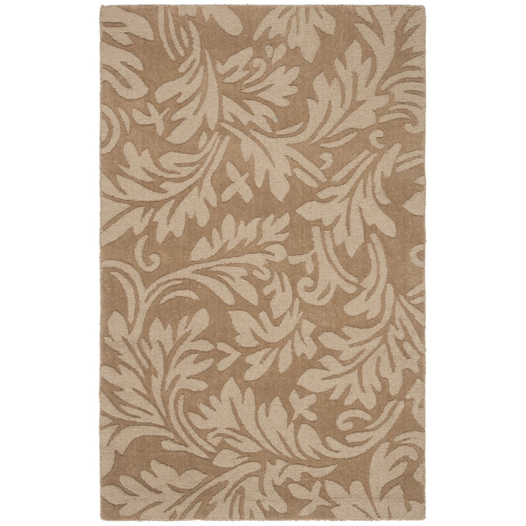 SAFAVIEH Impressions IM344D Handmade Light Brown Rug Image 8