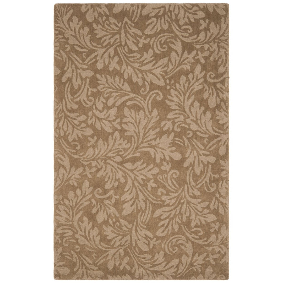 SAFAVIEH Impressions IM344D Handmade Light Brown Rug Image 9