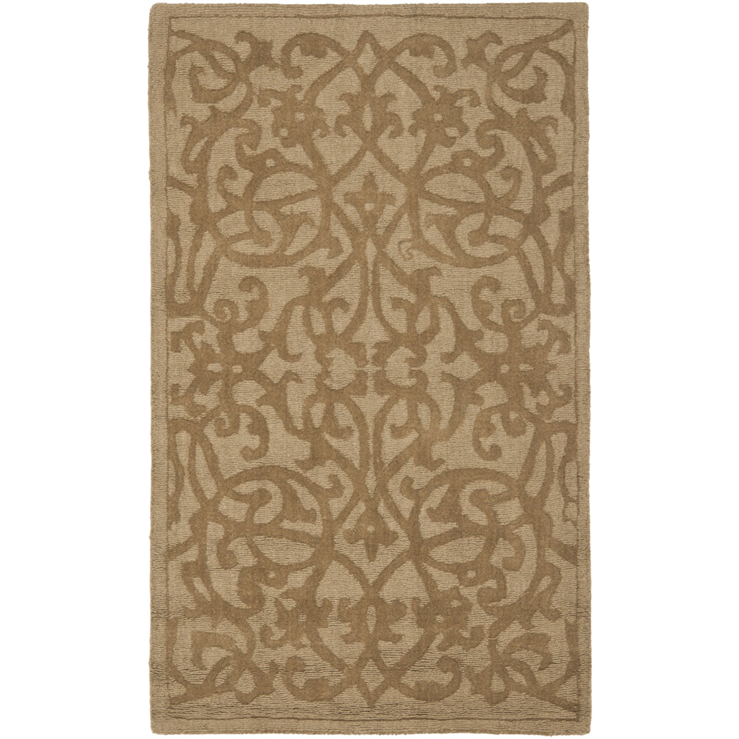 SAFAVIEH Impressions IM341D Handmade Light Brown Rug Image 8