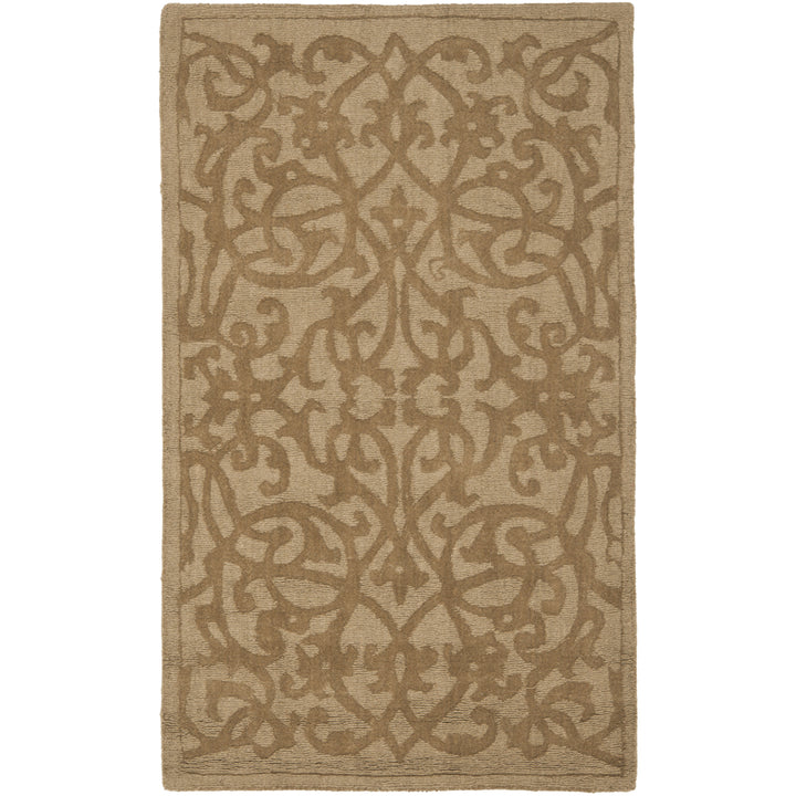 SAFAVIEH Impressions IM341D Handmade Light Brown Rug Image 8