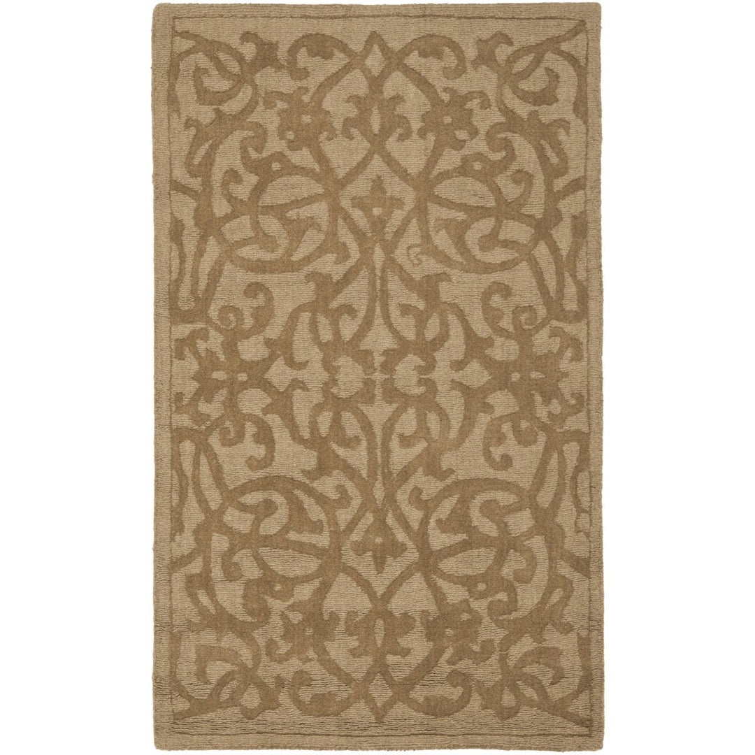 SAFAVIEH Impressions IM341D Handmade Light Brown Rug Image 1