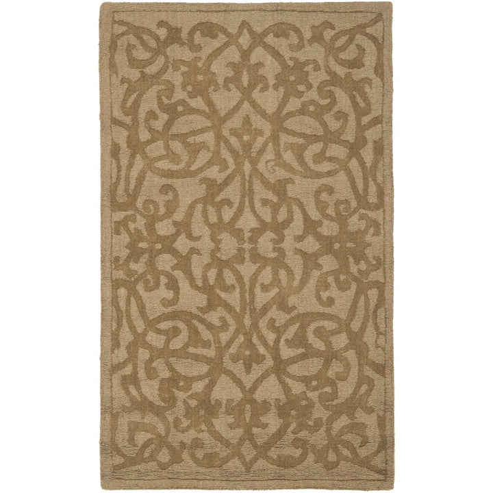 SAFAVIEH Impressions IM341D Handmade Light Brown Rug Image 1