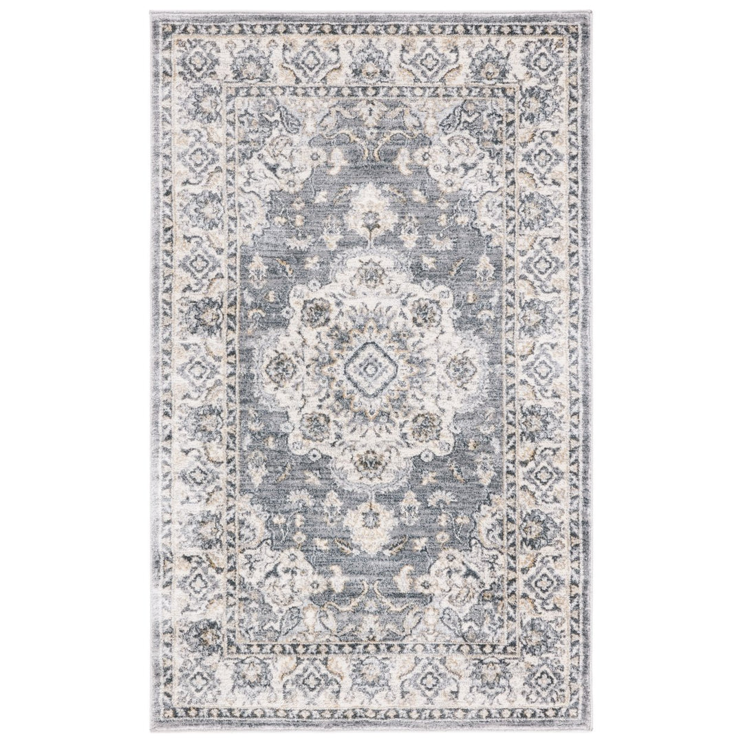 SAFAVIEH Isabella Collection ISA921F Grey/Light Grey Rug Image 1