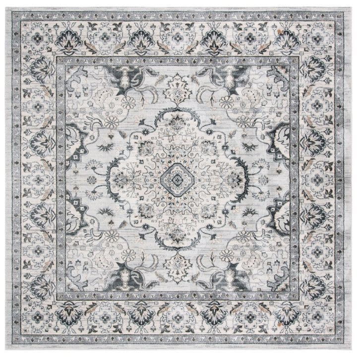 SAFAVIEH Isabella ISA921G Light Grey / Cream Rug Image 1