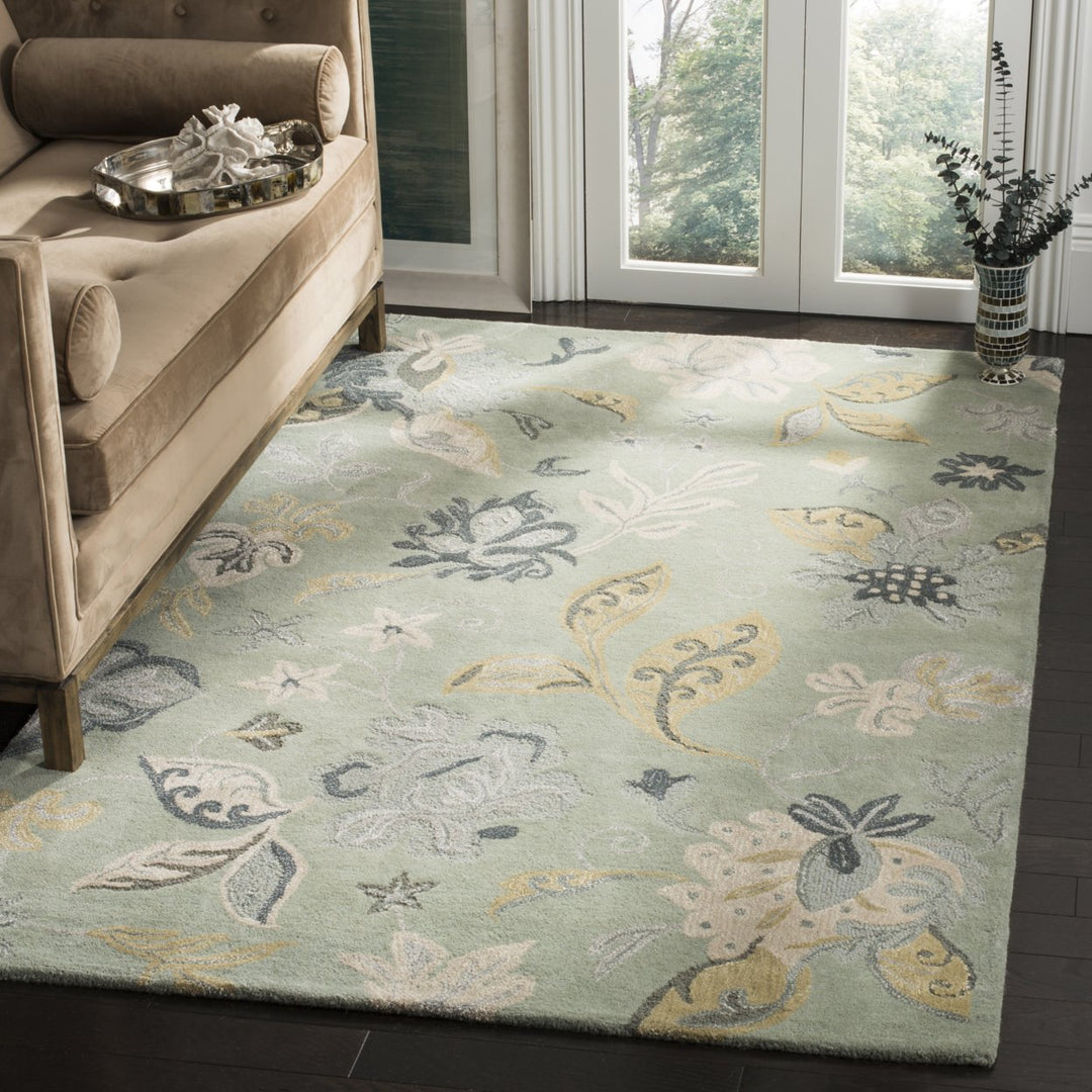 SAFAVIEH Jardin JAR451A Handmade Light Green / Multi Rug Image 1