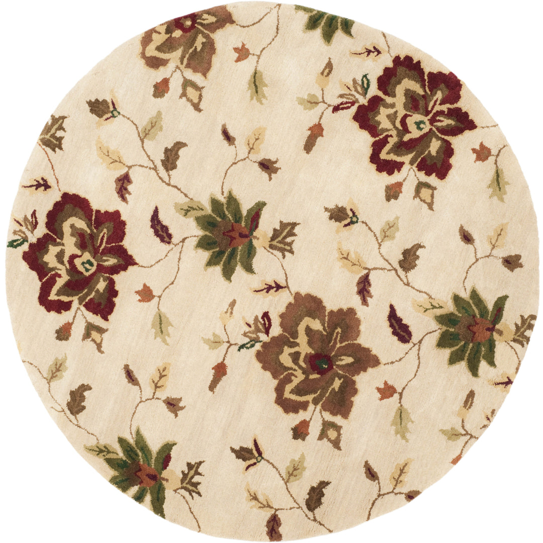 SAFAVIEH Jardin JAR811A Handmade Ivory / Multi Rug Image 2