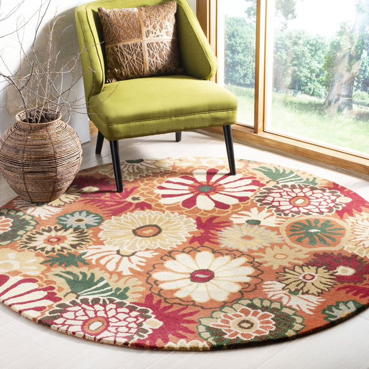 SAFAVIEH Jardin JAR812A Handmade Orange / Multi Rug Image 2